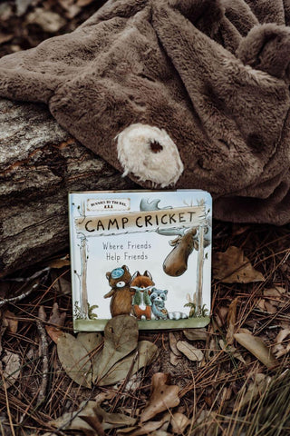 Camp Cricket Board Book
